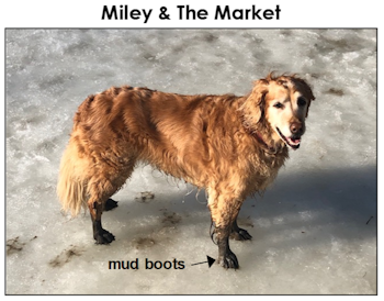 Milestones, Mayhem, and Miley